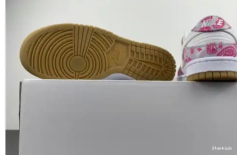 Nike Dunk Red Gum CT5053-061 Rose Low SB White 0528